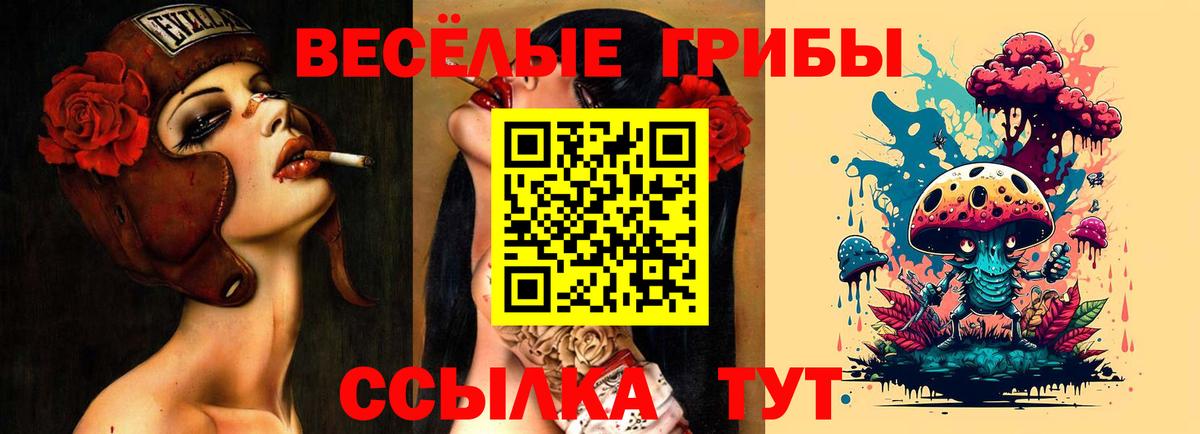 Казань  Галлюциногенные грибы Psilocybine cubensis  Вход с VPN  Галлюциногенные грибы MAGIC MUSHROOMS 